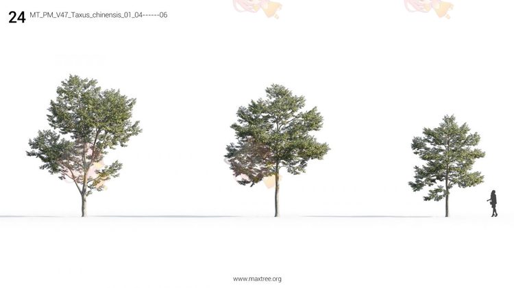Plant Models Vol 47