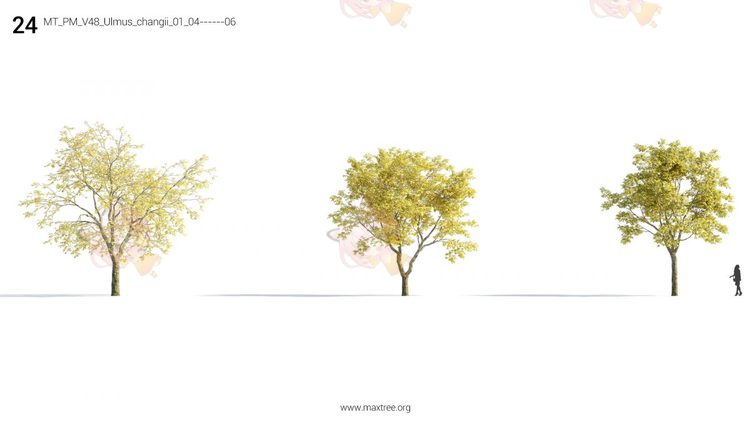 Plant Models Vol 48