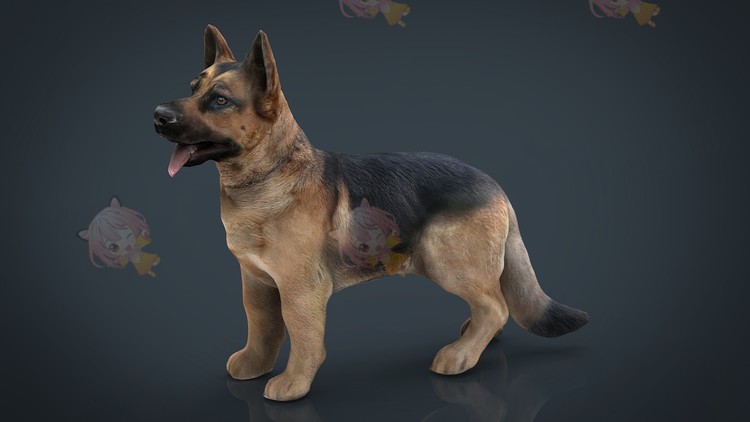 obj家禽家畜兔子狗猪小鸡奶牛羊鸡驴fbx猫C4D模型3d设计素材C3853