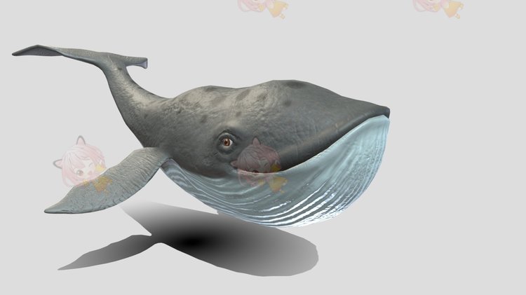 C4D可爱卡通鲸鱼maya模型blend渲染fbx建模obj设计3D素材源文件C3882