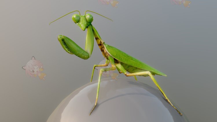 C4D螳螂模型写实高清逼真昆虫blend渲染fbx建模obj设计素材源文件C3885