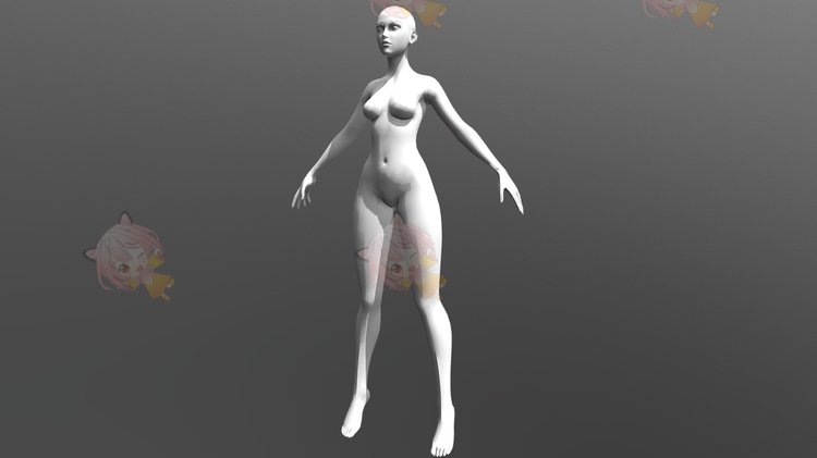C4D女性身体基础模型blend渲染fbx建模obj设计maya素材源文件下载C3909
