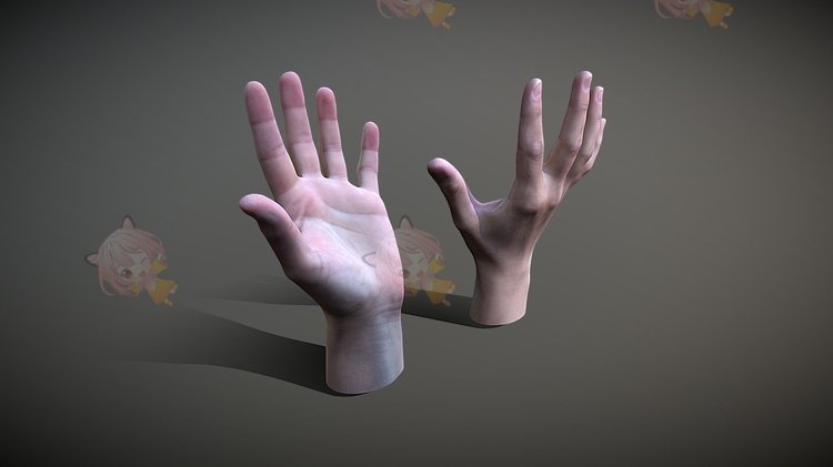 C4D真实女性手掌模型blend渲染fbx建模obj设计maya素材源文件下载C3918