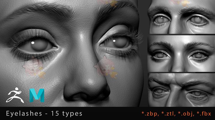 C4D睫毛zbrush画笔ztl笔刷zbp设计3D模型渲染fbx建模设计maya素材C3941