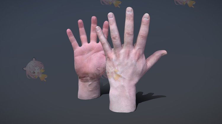 C4D男人女人手脚掌3D模型blend渲染fbx建模obj设计maya素材源文件C4005