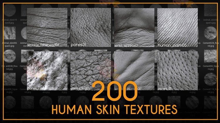 zbrush人类人体男生女生男人女人皮肤Alpha贴图毛孔指纹设计素材C4033