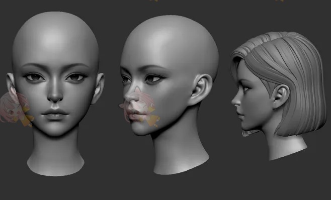 zbrush高精度女性头部短发光头C4D模型3D渲染建模obj设计maya素材C4071