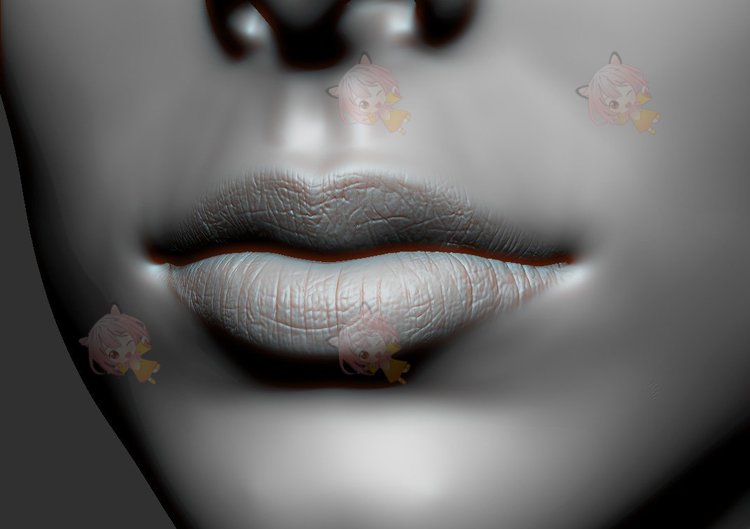 zbrush嘴唇褶皱3D嘴巴细节纹理Alpha阿尔法3dcoat贴图blender素材C4134