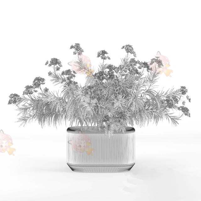 C4D观赏室内植物鲜花max盆栽办公室装饰fbx花卉绿化obj花盆3D模型C4204