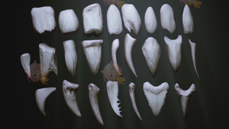zbrush牙齿獠牙IMM笔刷zb画笔fbx建模obj塑形ztl游戏美术雕刻图案C4356