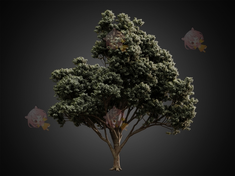 C4D景观植物树木园艺3D模型渲染fbx建模obj设计maya素材max源文件C4402