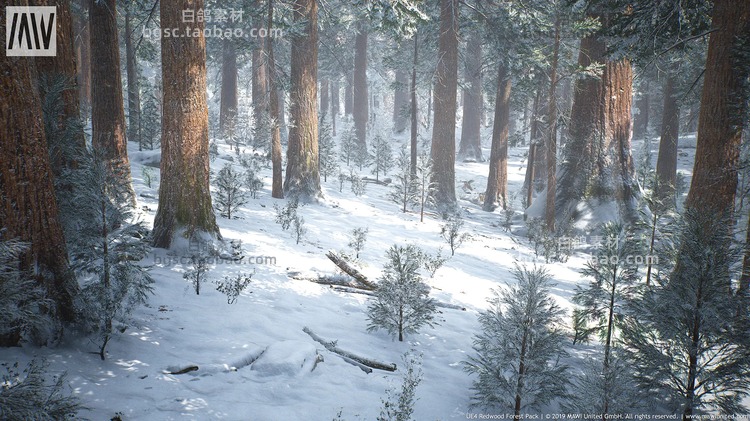 UE4山红木树森林生物群落逼真巨型红杉林树木植物设计素材项目工程B129