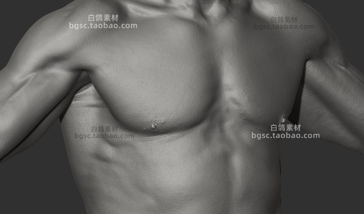 zbrush男女身体人体扫描模型fbx建模C4D渲染UE4设计素材源文件B197