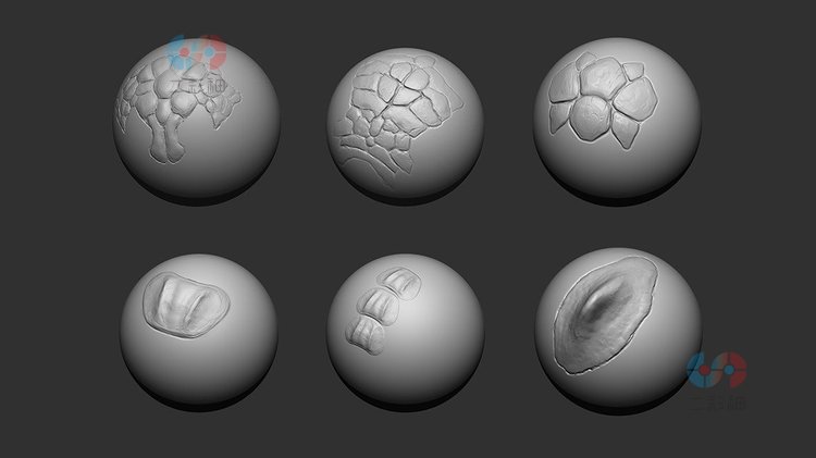 zbrush龙鳞蜥蜴鳄鱼皮肤肚皮尾巴笔刷zb画笔alpha纹理阿尔法雕刻C4555