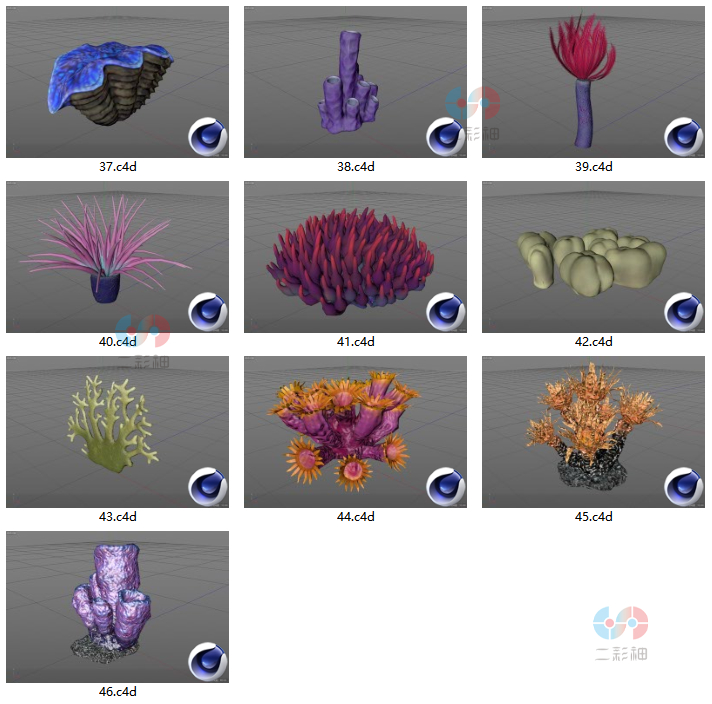 C4D海底珊瑚fbx珊瑚礁卡通模型建模maya设计zbrush素材源文件C4562