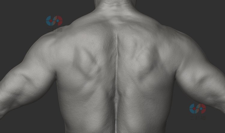 zbrush人物身体扫描男人女人C4D角色maya游戏角色UE5模型设计素材C4587