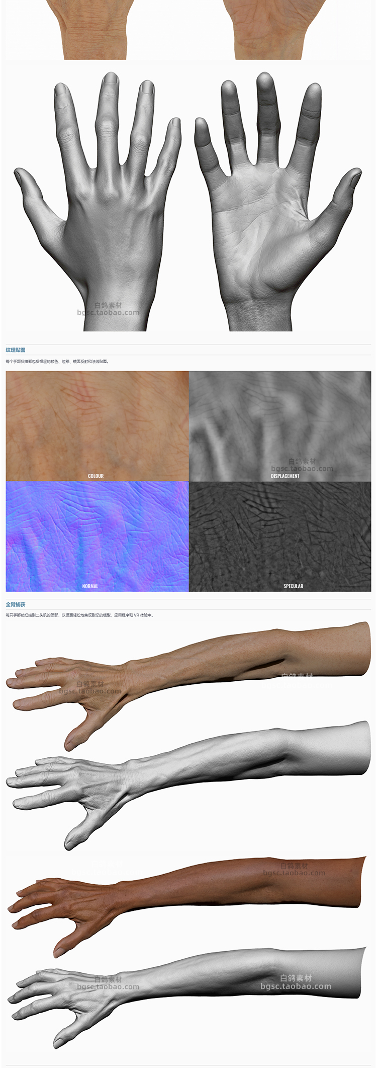 zbrush亚洲男性C4D女性3D手臂fbx手掌obj模型8K扫描tga置换ztl贴图B333