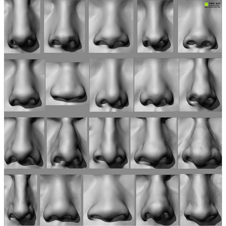 C4D人物游戏角色鼻子模型obj建模渲染ztl设计zbrush素材maya白膜B334