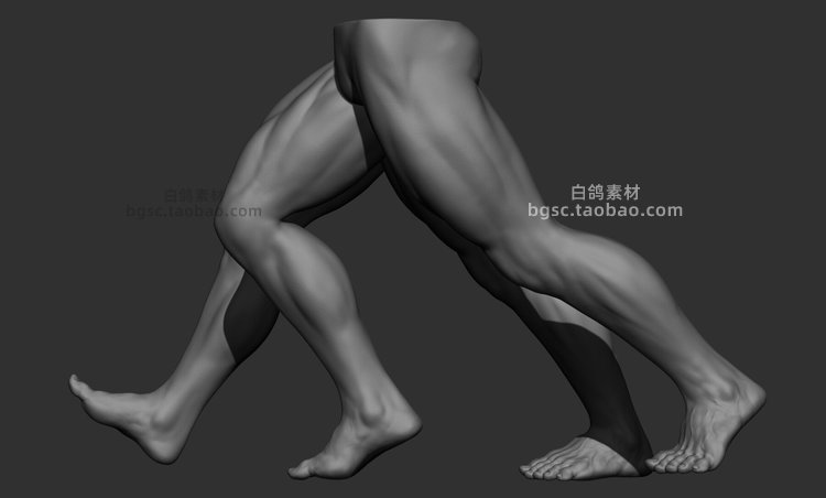 maya低模逼真男性大腿小腿脚掌zbrush雕刻fbx建模obj渲染stl模型ztl素材B414