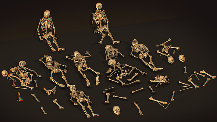C4D低模骨头骨架骨骼碎骨maya骷髅lowpoly模型obj建模fbx素材C4916