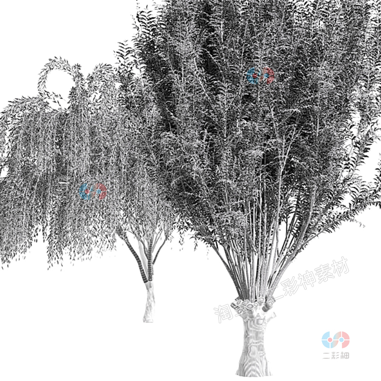 C4D低模柳树垂柳风景园艺植物max模型obj建模maya素材zbrush设计C4982