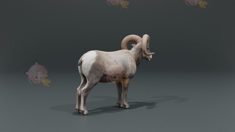 C4D低模写实山羊obj建模maya设计素材模型绵羊lowpoly动物zbrush C5008