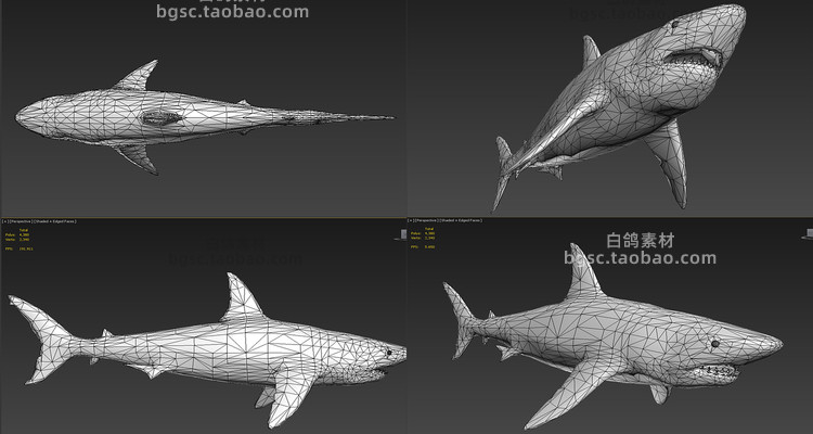 zbrush写实lowpoly大型鱼类鲸鱼鲨鱼海豚姥鲨动物maya模型fbx素材B523