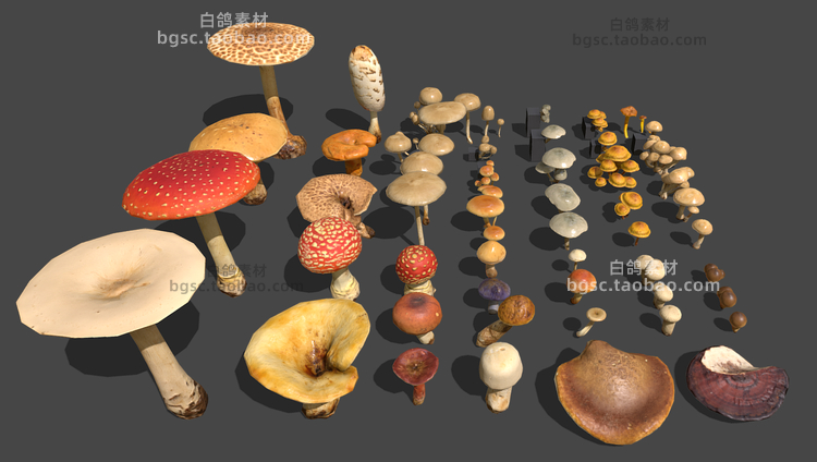2K低模zbrush蘑菇草菇植物食物毒菇obj设计fbx素材3D游戏资产伞菌B544