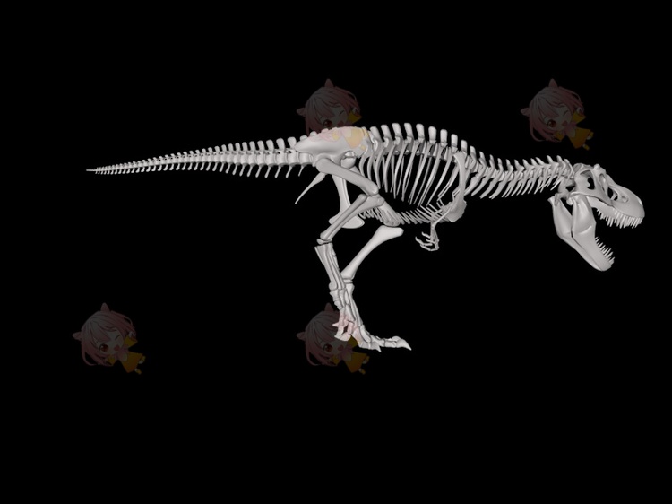 C4D恐龙骨骼低模骨架霸王龙骨头白骨fbx模型obj素材max格式3D白膜C5146