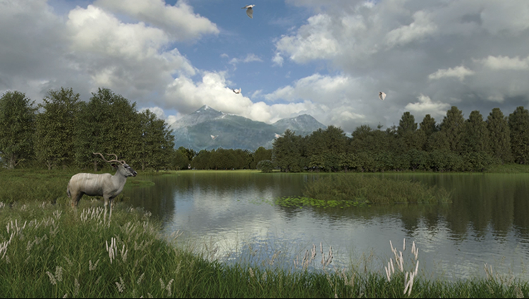 C4D写实鹿树林沼森林泽河流动画场景工程源文件OC渲染3D设计素材C5165