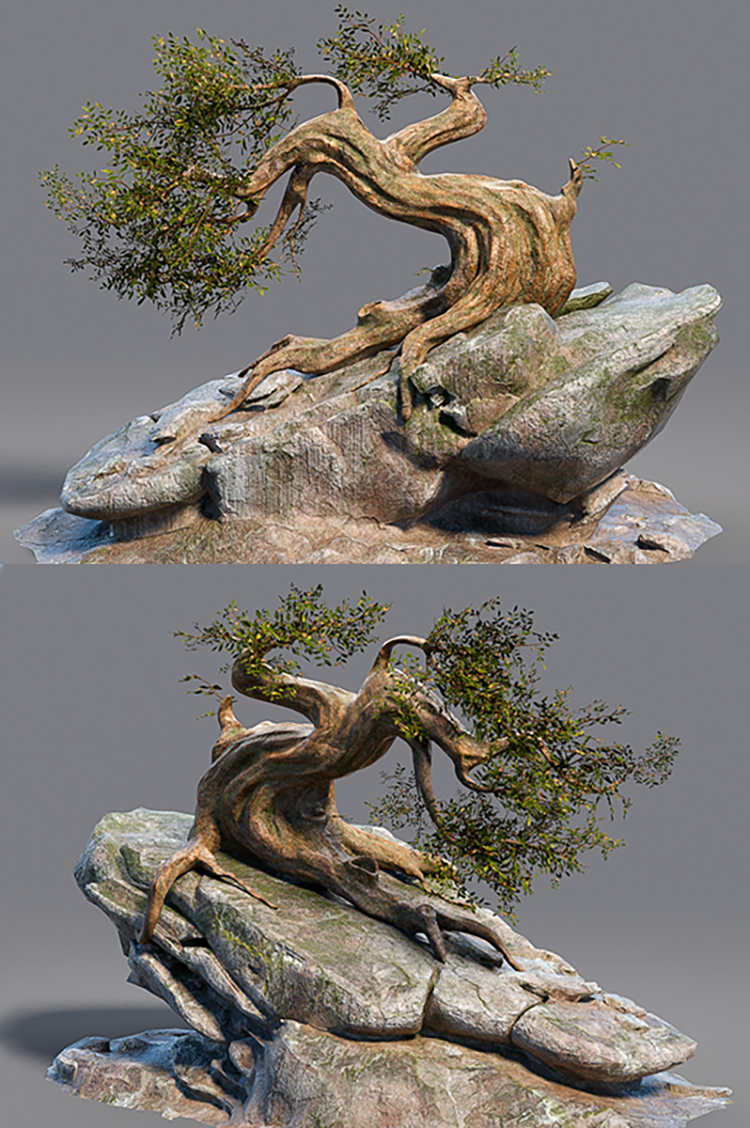 C4D低模岩石苍老古树zbrush植物blender模型fbx设计obj建模3D素材C5196