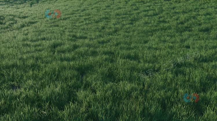 UE4虚幻5热带丛林包树木草丛灌木蕨类植物岩石河流UE写实模型资产C5237