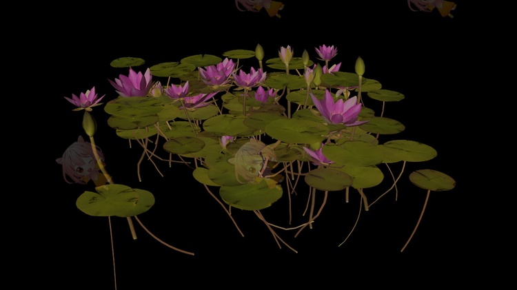 水生植物花卉水莲睡莲C4D模型obj莲花blender素材3d建模FBX模型C5287