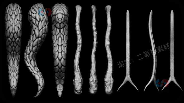 C4D舌头人物怪兽吸盘触角zbrush笔刷IMM画笔obj建模zpr模型3D素材C5298