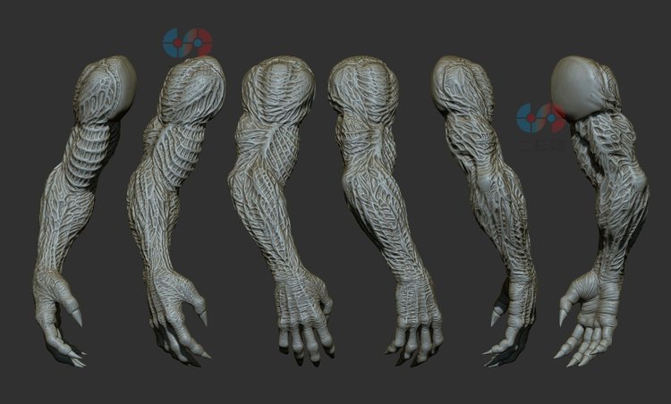 白膜C4D生物zbrush怪物手臂3D模型ZTL建模OBJ胳膊STL翅膀maya钳子C5502