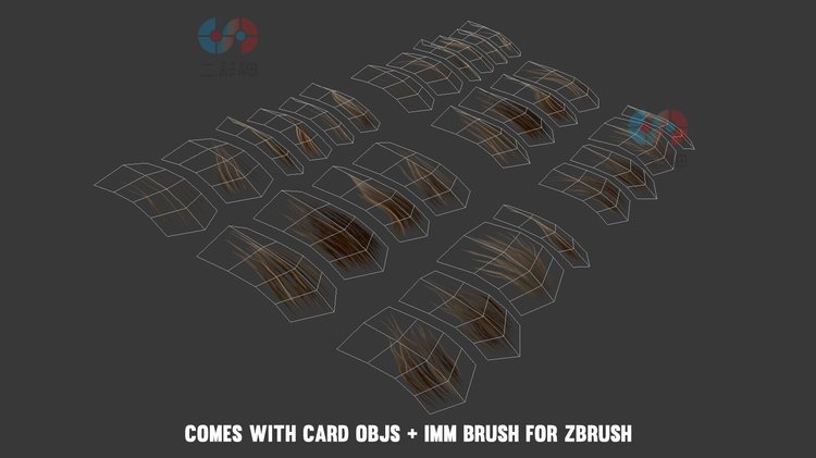 zbrush皮毛IMM画笔alpha贴图纹理obj模型C4D建模maya毛发设计素材C5506