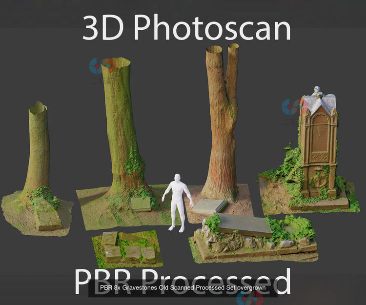 C4D倒塌墓碑树桩枯木blend建模fbx模型obj设计zbrush素材扫描资产C5598