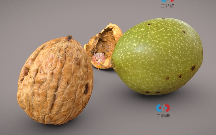 C4D写实gltf核桃3D模型blender渲染fbx建模obj设计maya素材资产C5719