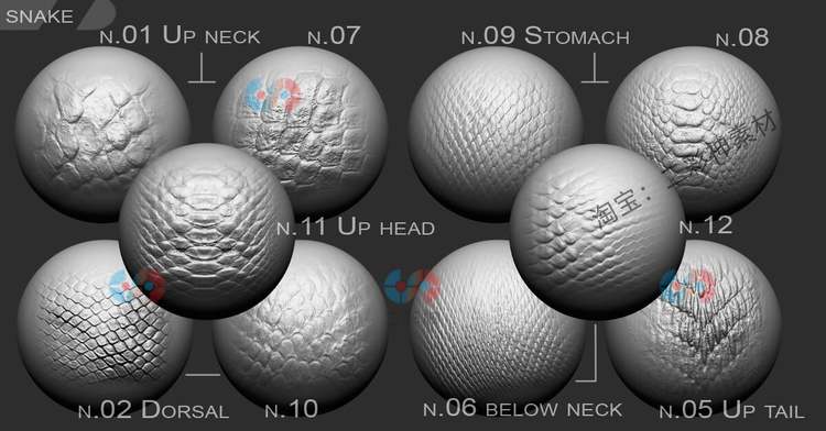 zbrush动物皱纹鳄鱼龙蜥蜴蛇爬行C4D动物3D皮肤alpha贴图zbp笔刷C5736