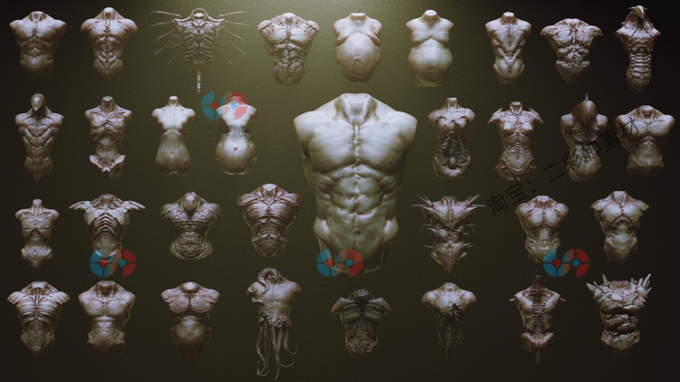 C4D白膜人物怪物躯干雕塑3D身体IMM笔刷zbrush画笔fbx建模obj模型C5739