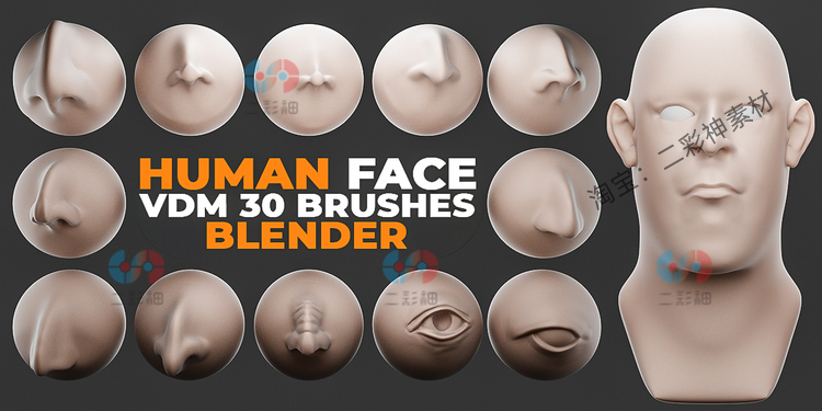 blender人脸Vdm笔刷鼻子眼睛嘴巴耳朵建模雕刻3D模型人物资产素材C5780