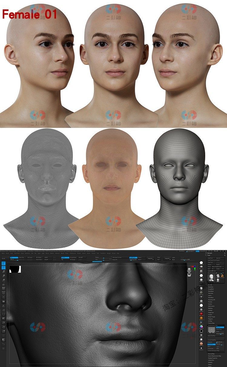 zbrush男性女性C4D头部皮肤细节置换贴图ps动作纹理贴图3D素材C5791