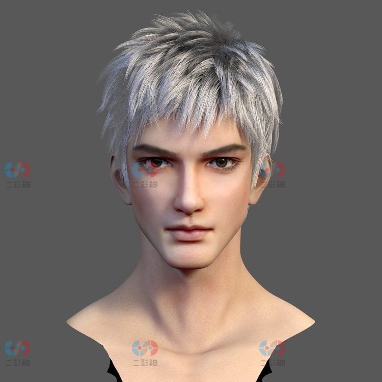Maya中国风男青男头像3D模型ma人物半身像建模人体头发面部写实C5805