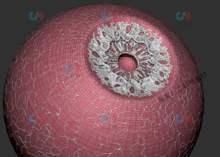 zbrush高精度人类眼睛3D模型渲染建模生物怪物眼珠眼球三维源文件C5935