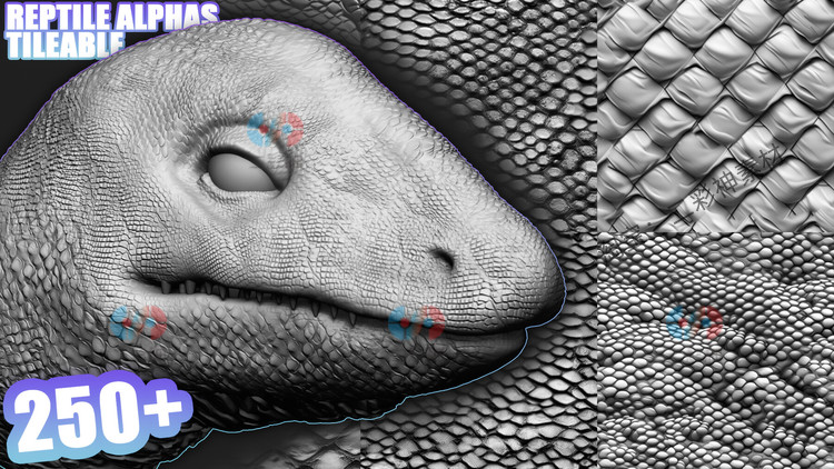 Zbrush置换贴图龙爬行动物蛇蜥蜴恐龙鳄鱼皮肤alpha贴图画笔纹理C5951 