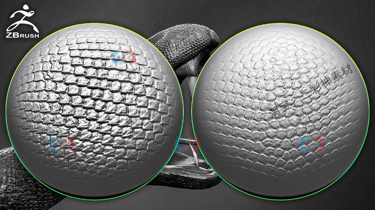 zbrush爬行动物皮肤3D贴图alpha纹理skin阿尔法蛇皮蜥蜴龙鳞素材C5957