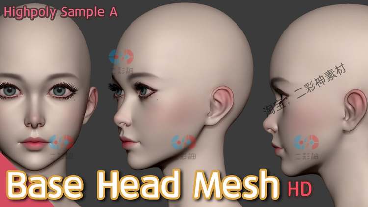 zb女生头部脸部基础网格3D模型高分辨率人物角色obj建模C4D女士C5968