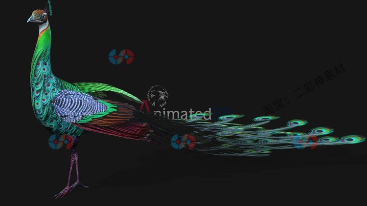 Peacock-A3写实C4D孔雀绿孔雀神鸟maya骨骼绑定fbx动画动作3D模型C12000 