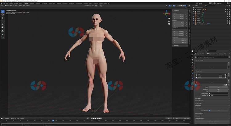C4D可变形女性fbx风格化基础网格瘦胖女人Zbursh模型8K贴图3D建模C12005