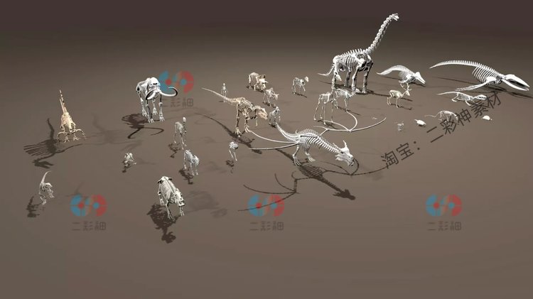 C4D白膜动物骨骼zbrush人物骨头maya大象骨架su鱼blender猩猩模型